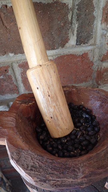 so wurde früher Kaffee aus der Schale geklopft, heute noch in Haiti