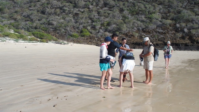 beim Strand säubern............
