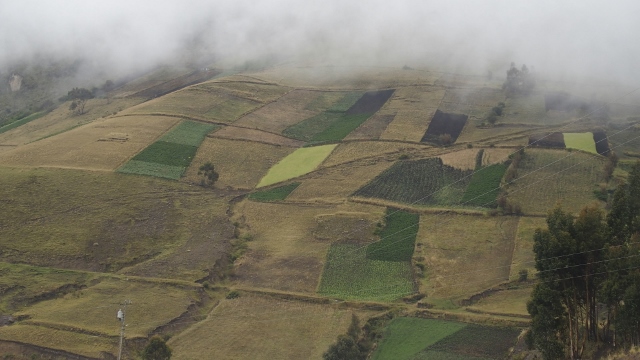 Landwirtschaft im Patchworkstil